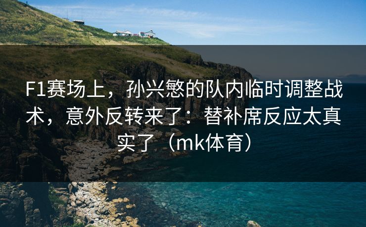 F1赛场上，孙兴慜的队内临时调整战术，意外反转来了：替补席反应太真实了（mk体育）
